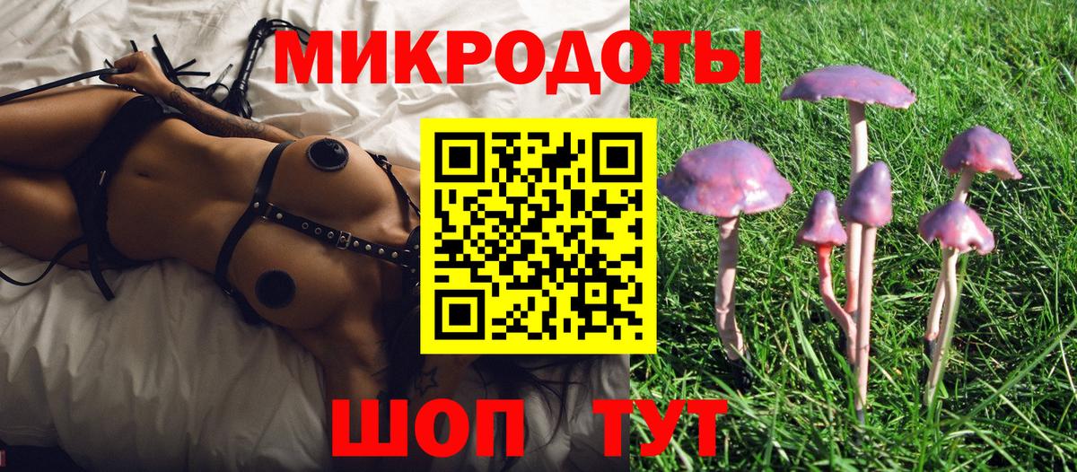 Галлюциногенные грибы ЛСД  Вход с VPN  Канск  Галлюциногенные грибы Magic Shrooms 